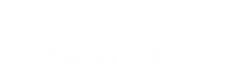 Ambassador